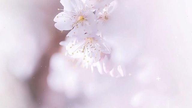 ♡???’? ??? ??? ????? ?? ?? ????? ⁺˚*･༓ ♡ A Divine Miracle ♡ ♡ ♡ subliminal ♡ смотреть онлайн