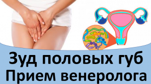 Зуд половых губ. Прием венеролога