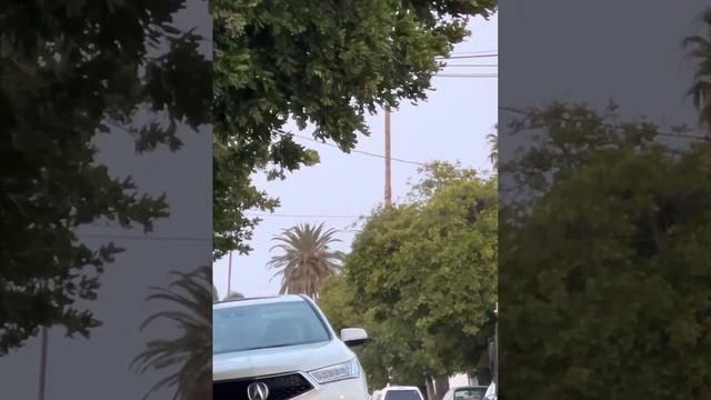 4/18/23 Gangstalker In White Infiniti SUV On North Side Of Fernwood In Los Angeles #gangstalking