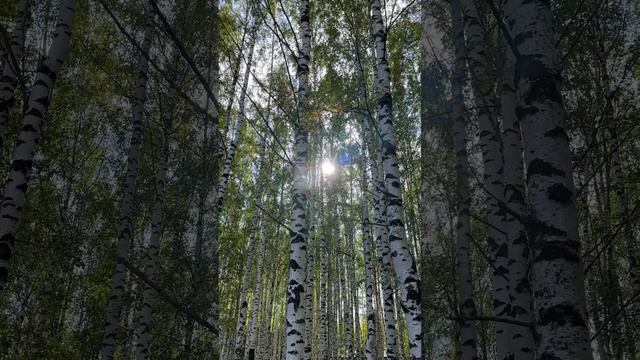 Крайние летние денечки ловим) Кааайф смотреть онлайн