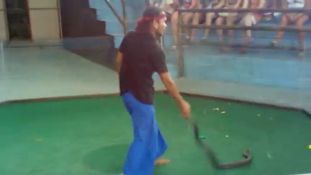 Игры с кобрами