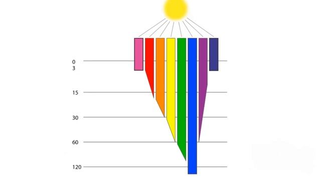 Зачем нужен ЦВЕТ приманки? Теория и немного практики.