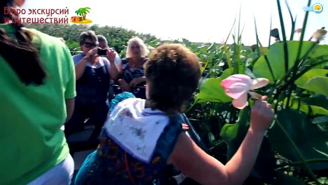 Долина Лотосов на Таманском полуострове (экскурсия) смотреть онлайн