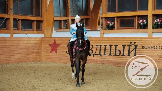 Мифы о лошадях. Топ 10. Новогодний выпуск. Язык лошадей. смотреть онлайн