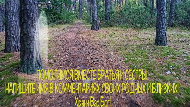 ?СЕЙЧАС ИЛИ НИКОГДА! Потом не проливай слезы - Молитва всех матерей за сына и внука на все случаи? смотреть онлайн