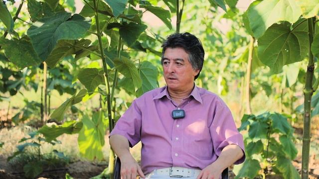 Реальный разговор о павловнии . Алишер Тураев смотреть онлайн