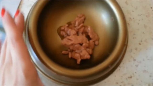 Влажный корм для кота смотреть онлайн