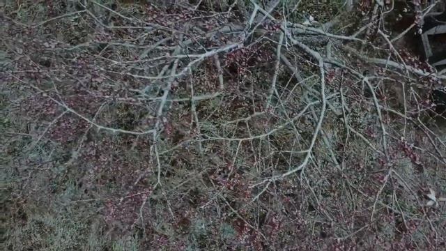 Акша лов. Белый снег. Караоке. Мордовская песня. #mordovia #songs #karaoke смотреть онлайн