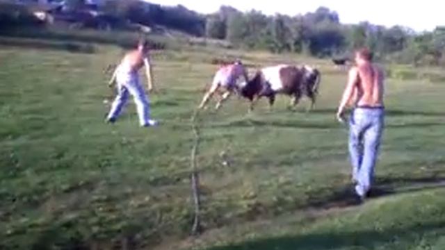 На речке.mp4 смотреть онлайн