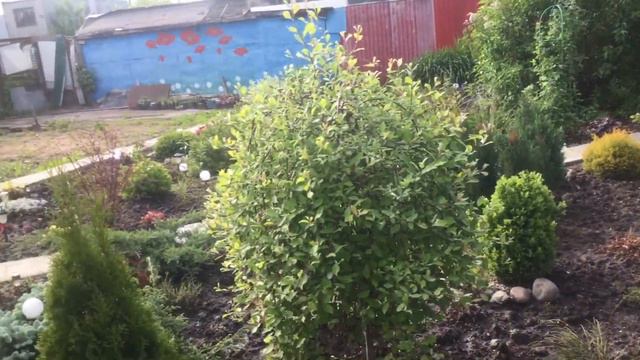 Мое 31.05.21. Моей бабушке посвящается.🌞🌸💐 смотреть онлайн