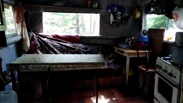 Воры в лесу смотреть онлайн