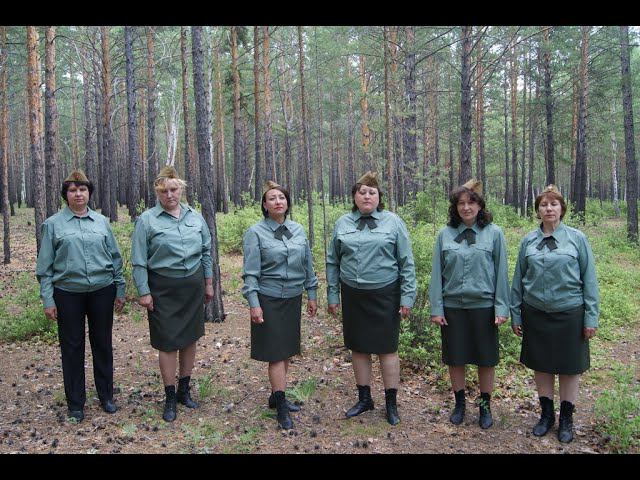 Это просто война "Ансамбль Мегаватт"