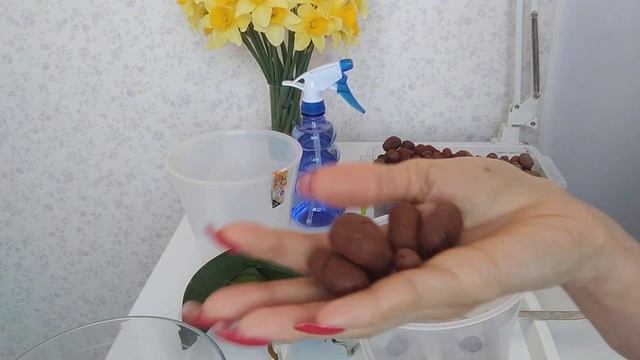 Как ОЧЕНЬ ПРОСТО НАРАСТИТЬ КОРНИ орхидеи?! смотреть онлайн