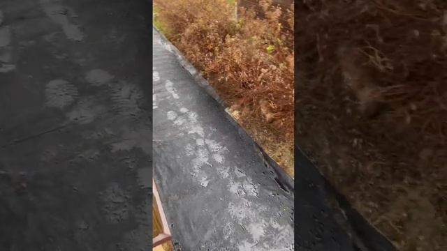 Про отмостку из гальки ?   Www.ros-k7.ru