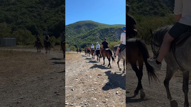 Конная прогулка в Геленджике смотреть онлайн
