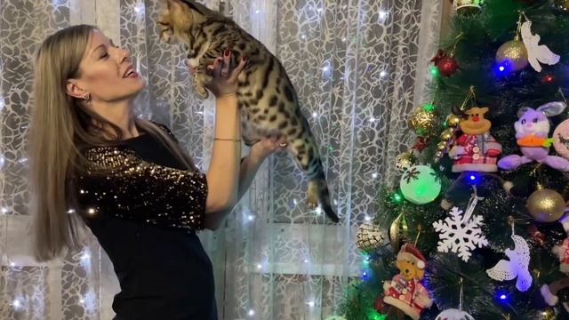 Встречаем новый 2023 год! Застолье с семьей! Фейерверк новогодний!