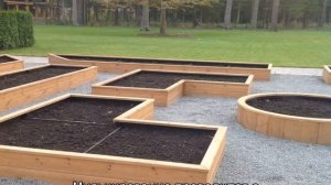 Чем закрыть дорожки между грядок , чтобы не росла трава