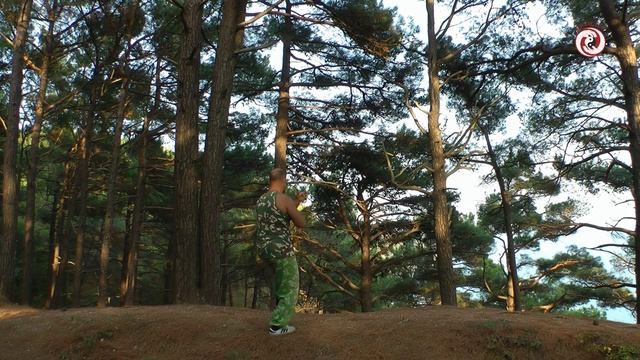 48 форм тайцзи-цуань