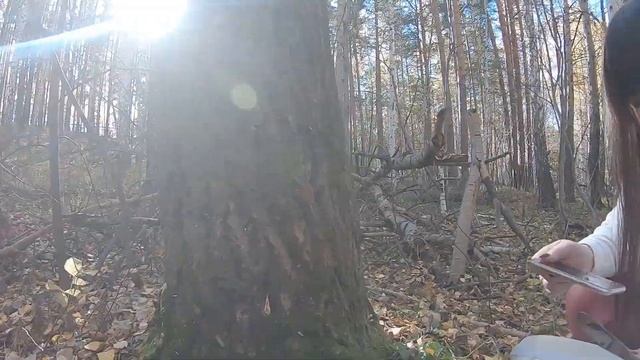 #базаотдыха чайка #Увильды #Осень #отдыхнаприроде оз. Увильды, База отдыха 