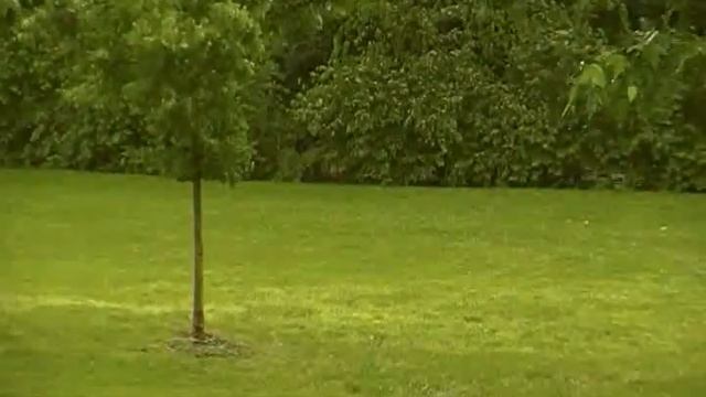 Otter Creek comes out of the bank May 2nd 2010 смотреть онлайн