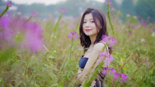 Can't Help Falling In Love Saxophone Mp3 Download 🎷Swing saxophone music 779 смотреть онлайн
