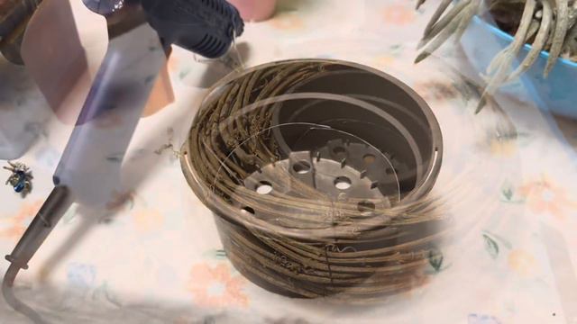 Декор дома 🌟Композиция из суккулентов 🪴Hausdekoration 🌟