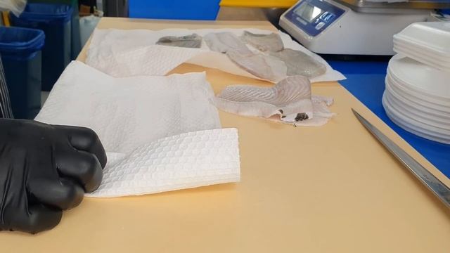 강도다리! 시즌 시작!  강도다리는 이렇게 썰어보세요! Starry Flounder, Diamond Back