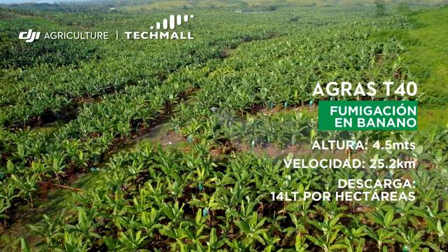 DJI AGRAS T40 control de plagas en banano (Caso estudio) #djiagriculture #fumigacion #djiglobal смотреть онлайн