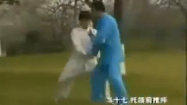 Тайцзи Чень Туйшоу 48 техник смотреть онлайн