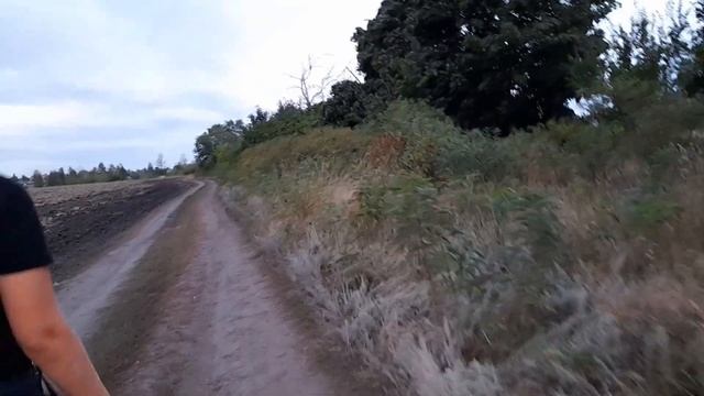 ТОП 3 ЗАБРОШКИ В НОВОЙ УСМАНИ смотреть онлайн