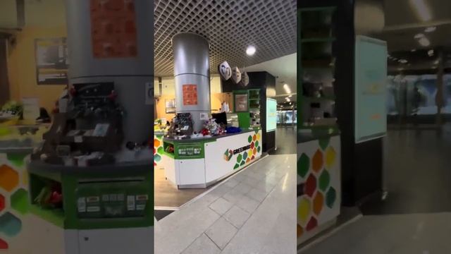 ОБЗОР НА ОТЕЛЬ “САНКТ-ПЕТЕРБУРГ” смотреть онлайн
