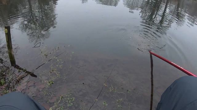 Diepeschrather Mühle 2021. Форель утащила дорогущий спининг !!! Trout Area Fishing. смотреть онлайн