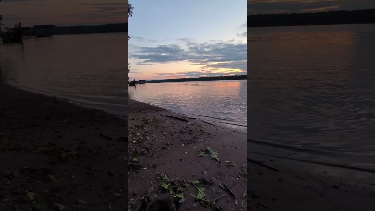 Летний закат на Волге #shortvideo #рыбалка #fishing #fishingvideo #природа #лето #fish #lake смотреть онлайн