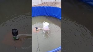 Фильтр для бассейна своими руками