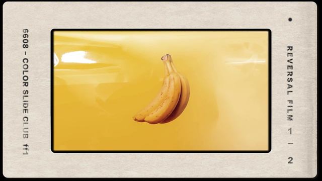 The Banana Song - Funny And Weird Banana Music Video 🍌🎶