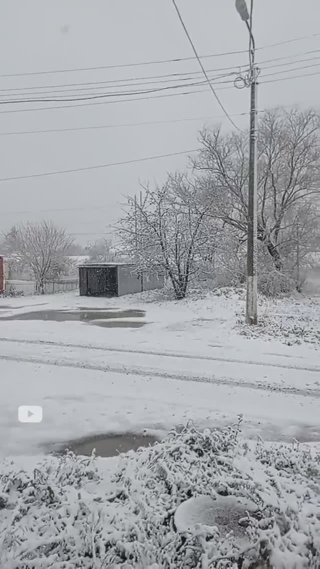 К нам пришла зима☺ Архив от 17.11.2022г. смотреть онлайн