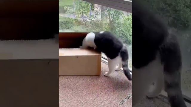 я тоже хочу ребятам на фронт я там уже был и знаю каково это 2202 2003 4591 2586 сбер смотреть онлайн