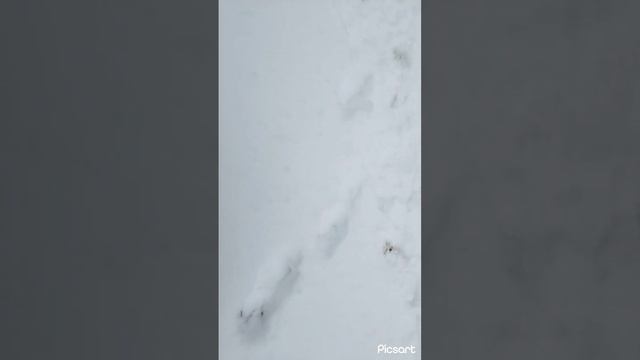 у родника смотреть онлайн