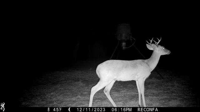 Deer Feeder #1: Browning Recon Force Advantage Trail Cam Dec. 11-12, 2023 смотреть онлайн