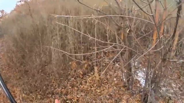 Охота на зайцев, или тест коллиматорного прицела смотреть онлайн