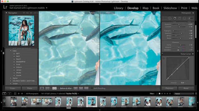BEFORE & AFTER | BAHAMASPHOTOGRAPHER BEAUTYBIRD смотреть онлайн