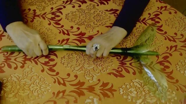 Мастер-класс из пластиковых бутылок и разовых стаканчиков.... смотреть онлайн