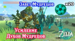 Завет Мудрецов. The Legend of Zelda Tears of the Kingdom. All Sage's Will Locations. Nintendo Switch