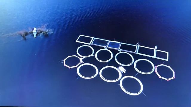 21 ноября 2018 г. смотреть онлайн