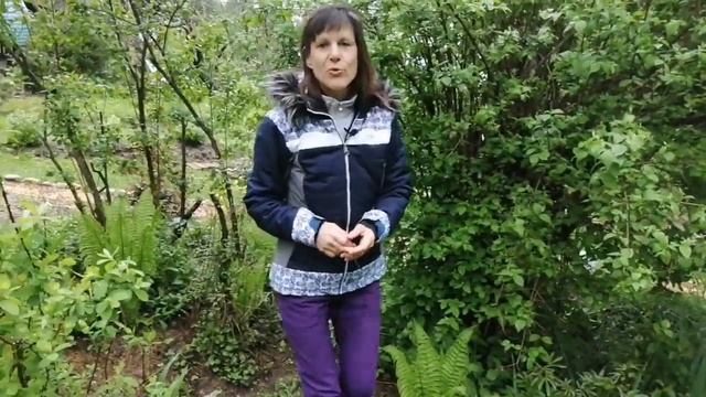 Как на даче сделать альпийскую горку. Что было как стало смотреть онлайн