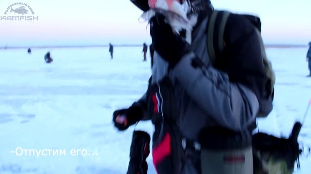 Балансиры Sprut. Часть 3: Итоги тестирования. Судак и окунь на балансир. Kamfish смотреть онлайн