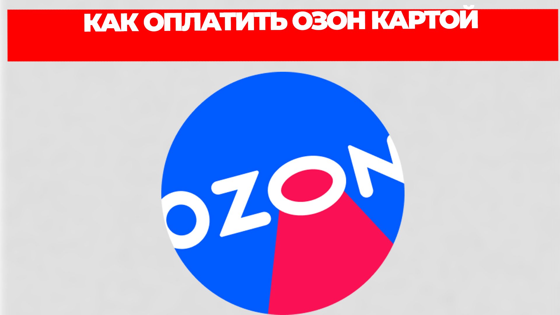 Всезнающий Енот