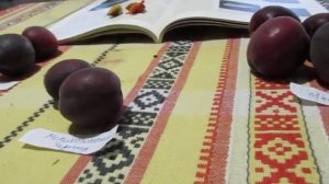 Абрикос Черный принц, Мелитопольский черный, Монарези