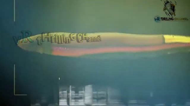 Electric Eel Attack Crocodile смотреть онлайн