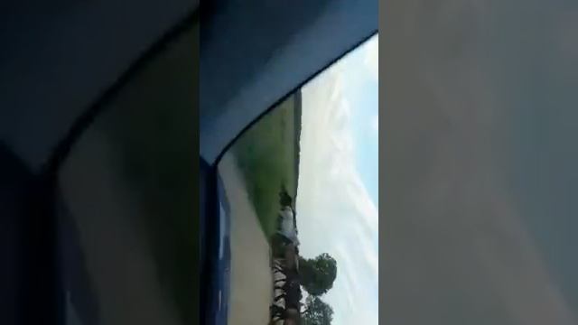 Не могли выехать из деревни, потому что дорогу перегородило большое стадо лошадей!!! смотреть онлайн